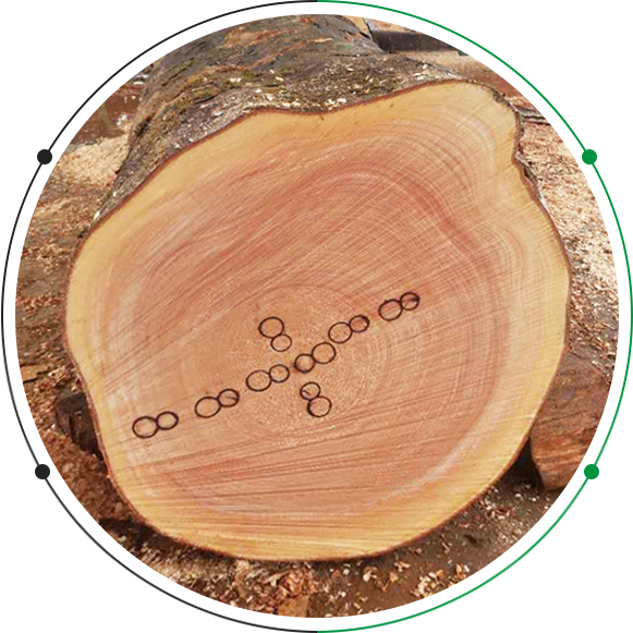 不銹鋼牙板、不銹鋼搓絲板定制